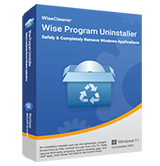 Wise Program Uninstaller box